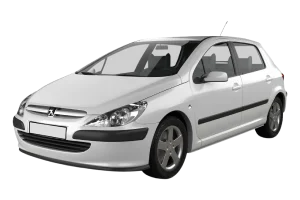 Peugeot 307 2001 - 2008  1.4, 1.6, 2.0  Hatchback, Station Wagon