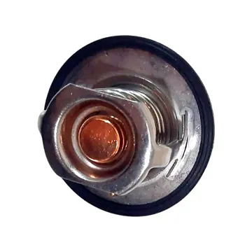 Dfm Dfsk Termostat (2017-2019) Çin Muadil