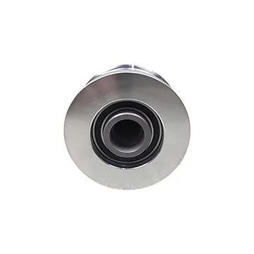Hyundai Santa Fe Alternatör Kasnağı (2001-2006 2.0) Ina