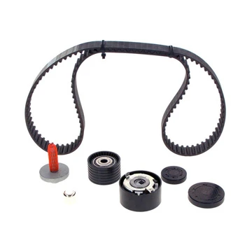 Renault Clio 3 Triger Seti (2006-2011 1.4/1.6) Dayco
