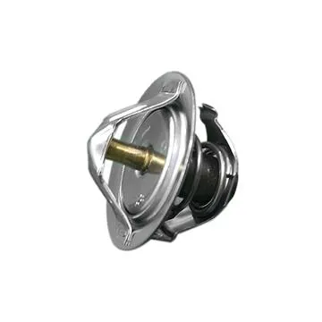 Proton Arena Termostat (2008-2009) Kore Muadil